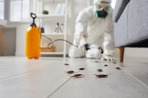 Commercial Rodent Management in Whitewater